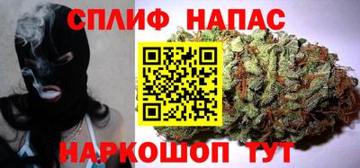 СК Моздок