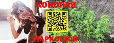 СК Моздок