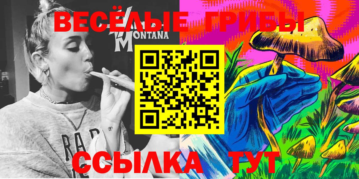 Рязань  Галлюциногенные грибы Cubensis  Вход с VPN 