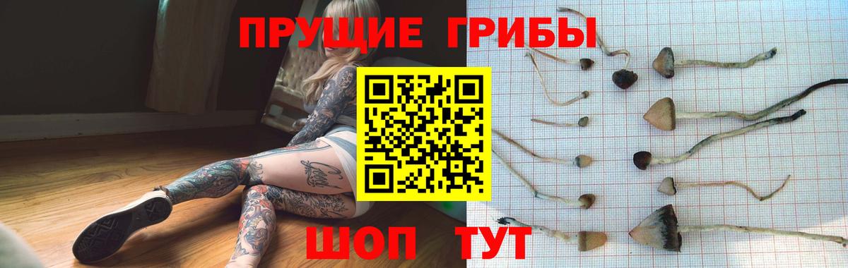 Галлюциногенные грибы мицелий Рязань